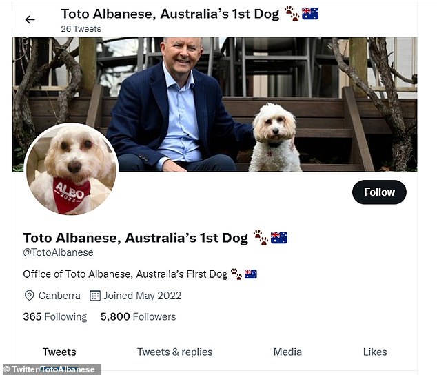Toto's new Twitter account features numerous images and videos of the beloved dog taken before and during the election campaign.