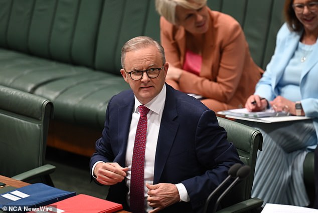 Speculation has increased over the possibility of calling an early election following the leak of a text message from Anthony Albanese's chief of staff.