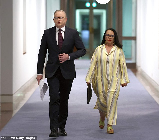 Anthony Albanese (left) and Linda Burney (right) have been warned against attempting to impose a truth monitoring body following the failure of the Voice referendum.
