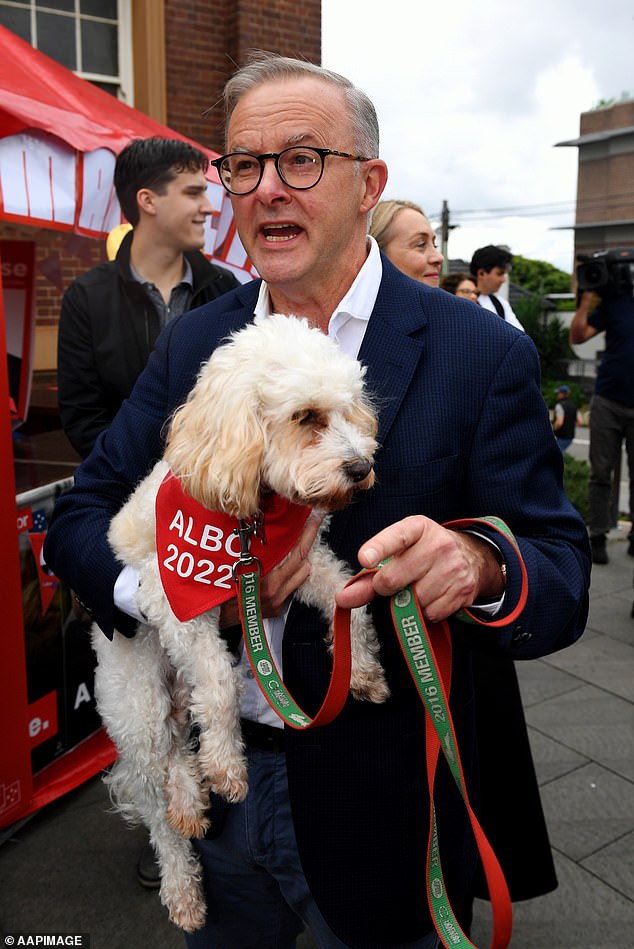 Anthony Albanese's beloved dog Toto has been mercilessly bullied by trolls just days after the dog made his Twitter debut (pictured, the couple on Election Day, March 21).