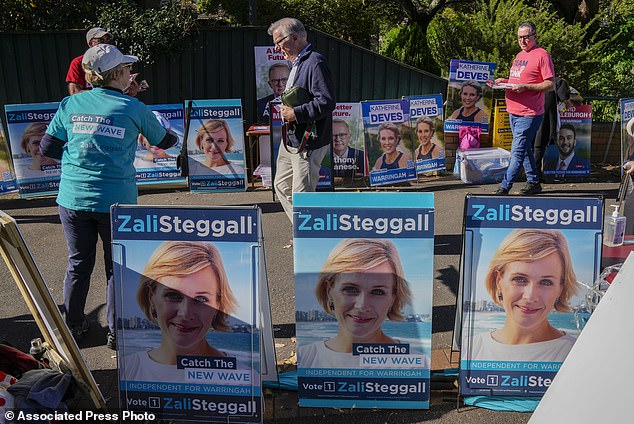 Zali Steggall is running for Warringah (pictured) and is one of several well-funded and organized 'teal independents' focused on concrete climate action.