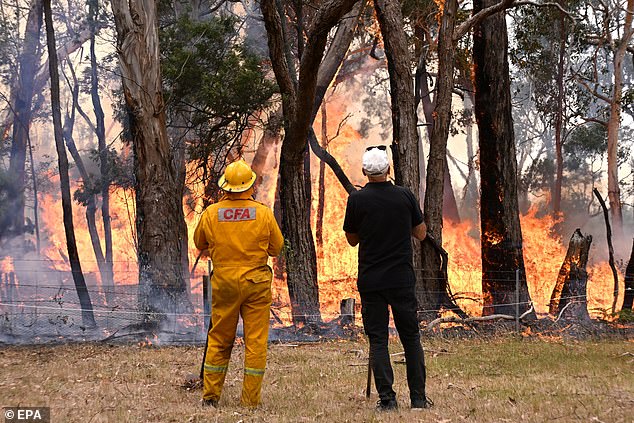 A fire is seen burning in Raglan, Victoria last week.  Meanwhile, Victorians have been told to flee fire danger zones while they can.