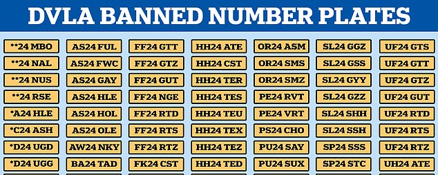 Banned: Just some of the 334 number plates banned by the DVLA this year;  scroll to the bottom of this story to see the FULL list