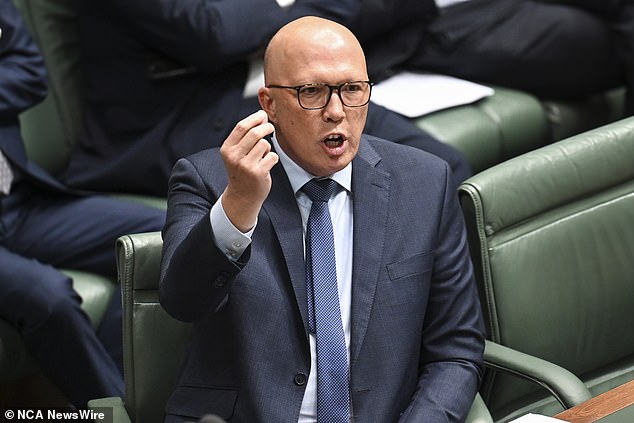 Peter Dutton (pictured) defended Barnaby Joyce after he was caught on video lying on his back near a manhole, as a cheeky monument appeared at the site.