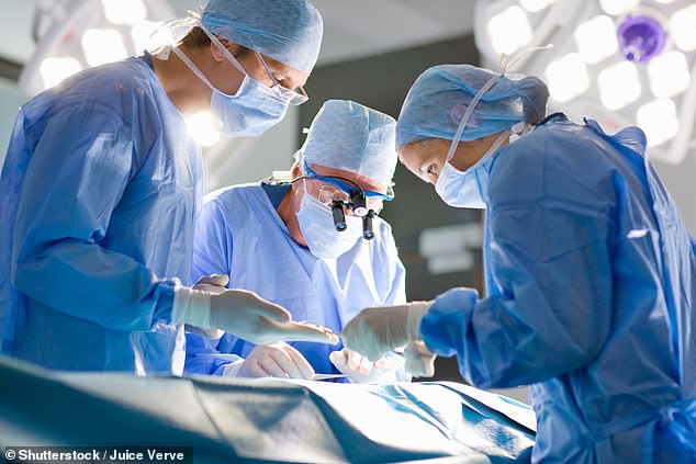 Around 25,000 NHS patients a year undergo surgery to repair heart defects such as a defective mitral valve, one of the most common operations (File image)
