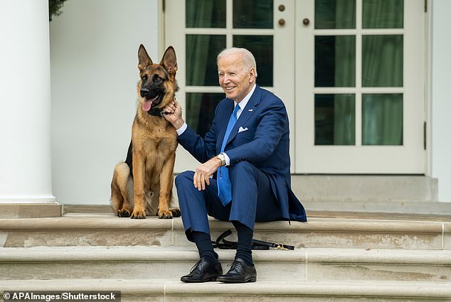 The White House pup has been removed from the residence and is now said to be with friends of the Bidens in Delaware.