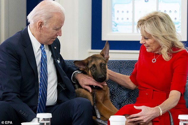 One attack by President Biden's dog Commander left a 'deep and serious open wound' on a Secret Service agent, while another left the White House floors covered in blood as details of the attacks are revealed of the First Cub.