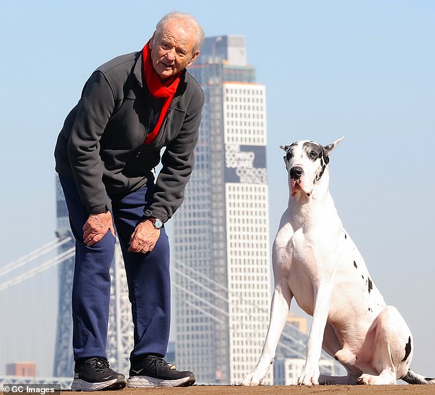 Bill Murray was spotted wearing a gray sweatshirt and jeans while working with a huge Great Dane named Bing on the set of The Friend in New York City on Monday.