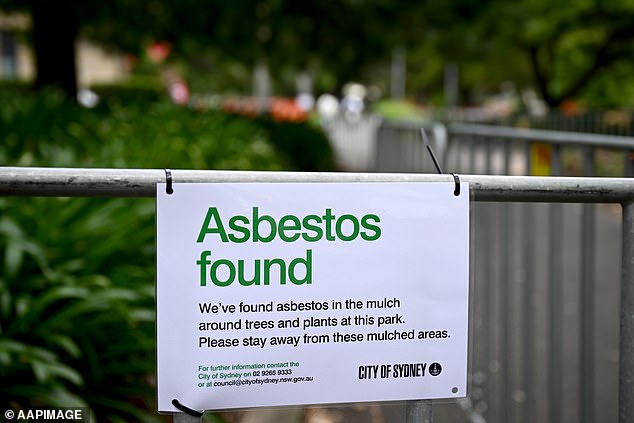 Victoria Park in Sydney, where asbestos was found stuck in mulch, pictured Wednesday, February 14, 2024.