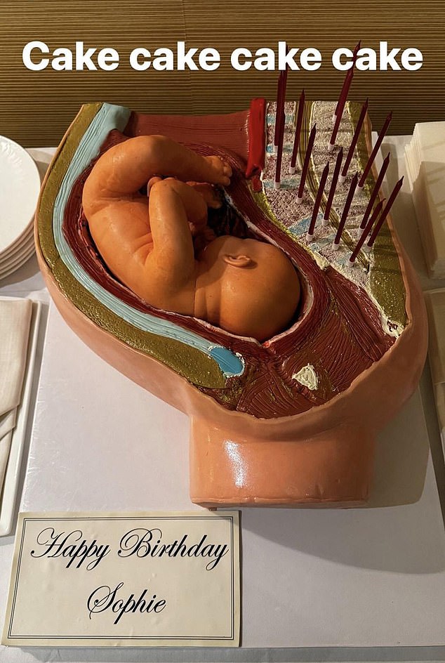 Damien Hirst's cake he made for his young girlfriend Sophie Cannell