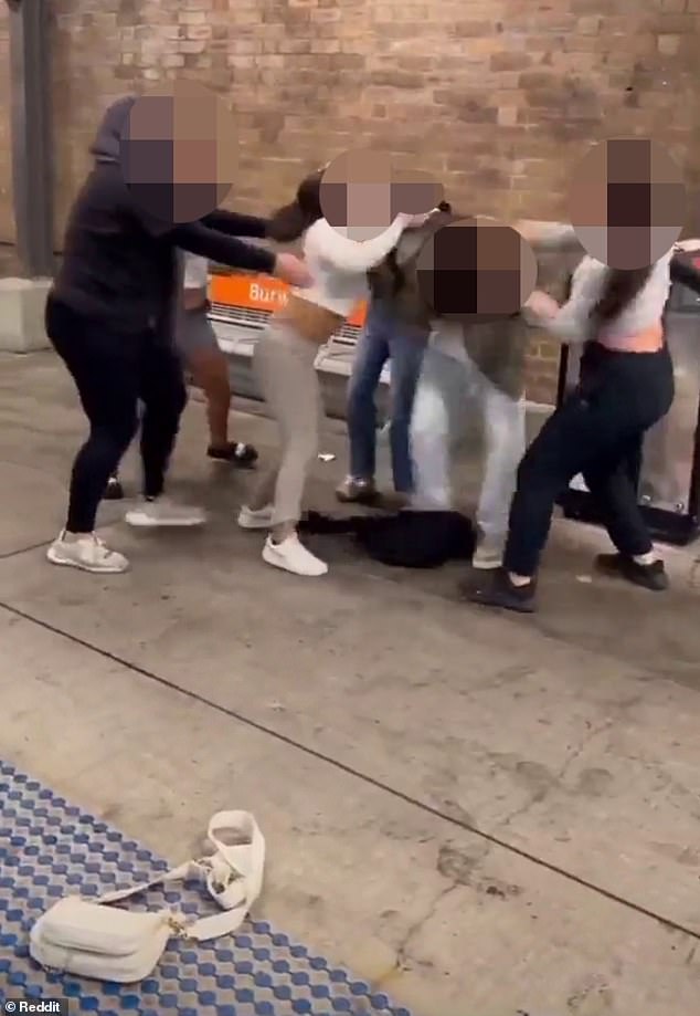 In a video posted to Instagram and then widely seen on Reddit, a group of girls can be seen fighting and screaming at Burwood station in Sydney's inner west.