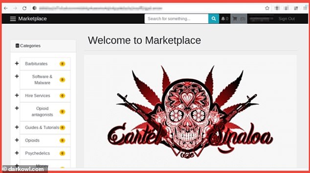 Woman allegedly used The Sinaloa Cartel Marketplace (homepage pictured) to offer $20,000 to hitman
