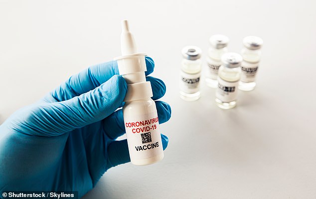 According to a study, the vaccine offers almost instant protection against Covid compared to conventional injectable vaccines, which take up to 14 days to be fully effective?