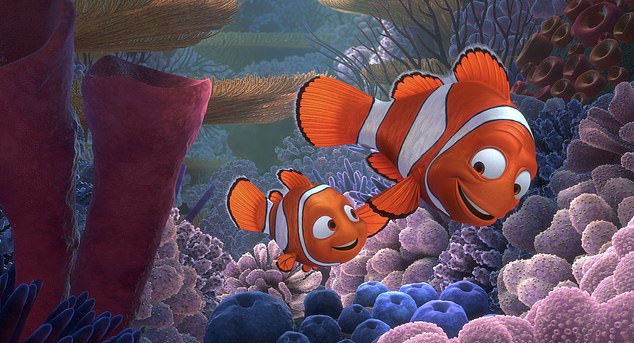 Nemo and his clever clownfish companions can count to determine whether other fish are friends or foes, a new study has revealed.