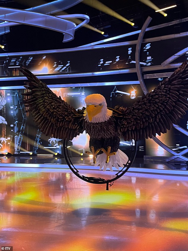 Before his routine, Eddie descended from the rafters onto the enormous eagle that was suspended from metal cables.