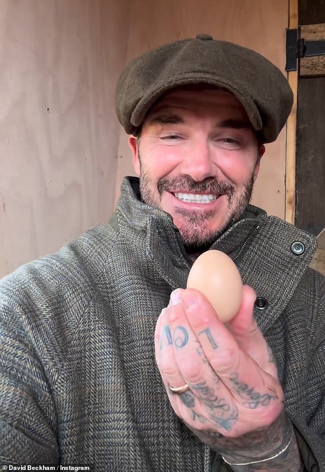 David Beckham collected his first egg from the chickens his wife Victoria gave him for Christmas on Friday.