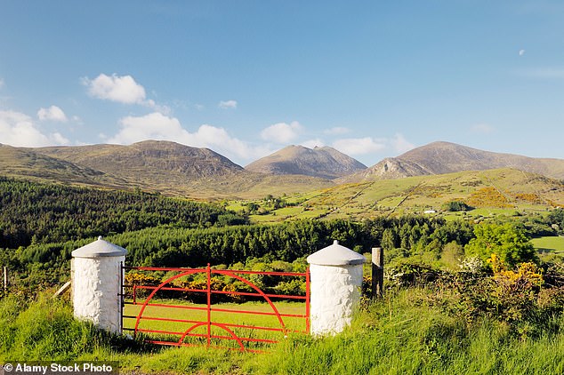 The Pilgrim's Search: Lizzie Enfield walks the St Patrick's Way in Northern Ireland, which passes through the Morne Mountains (pictured)