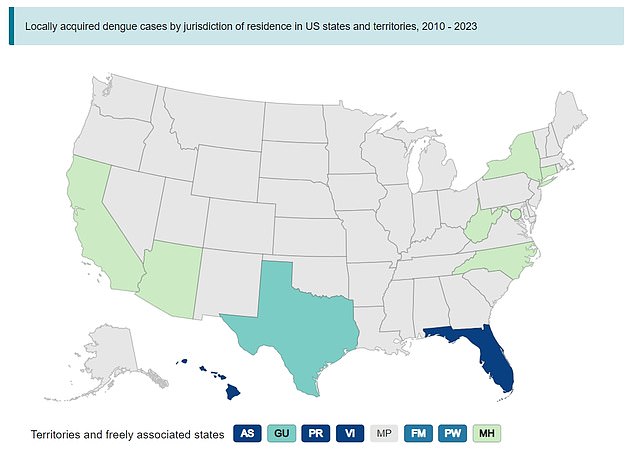 The map above shows US states that have reported locally acquired dengue infections between 2010 and 2023.