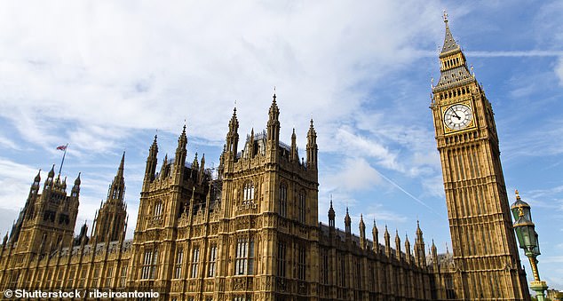 The House of Lords digital and communications committee said ministers had 