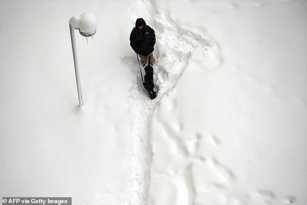 New York may see up to three inches of snow, while Boston may be hit by a bomb cyclone, also known as 'bombogenesis' (Pictured: A man walks his dog in Silver Spring, Maryland, on February 6, 2010 ).