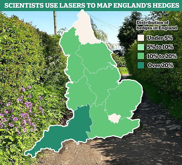 According to the results, the southwest has the highest density of hedges.  Greater London and the North East have the least