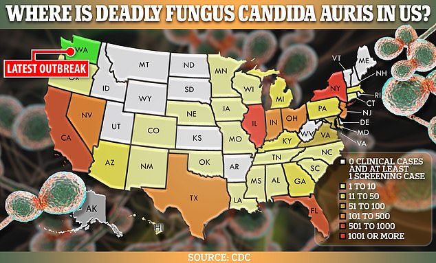 Expert warning as deadly drug resistant fungus hits 36th US state