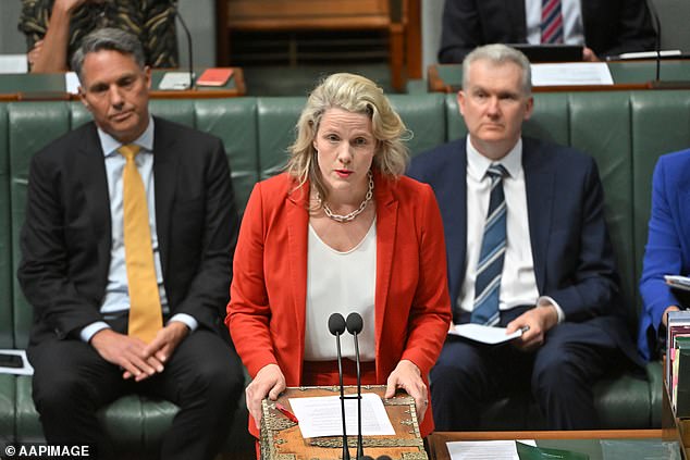 The smear was first leveled at Dutton by embattled Home Affairs Minister Clare O'Neil (pictured) on Wednesday and was reiterated on a live TV breakfast by Sports Minister Anika Wells on Thursday.