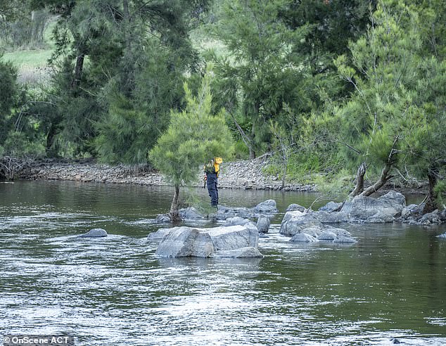 An officer walks the Murrumbidgee River from the bank on Thursday afternoon.