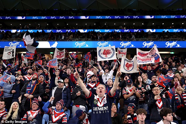 A former stadium worker says sports fans would message the anti-social behavior hotline to complain about referees rather than serious incidents in the crowd (pictured, Roosters fans supporting their team)