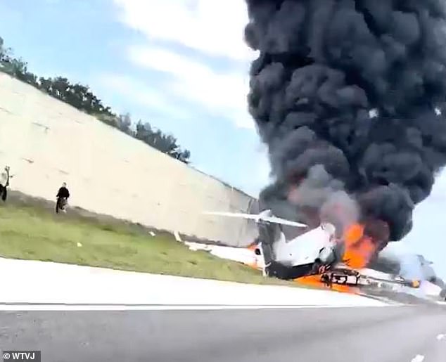 Other images, including video captured by motorist Kyle Cavaliere, showed huge plumes of smoke rising from the wreckage moments after the plane crashed.