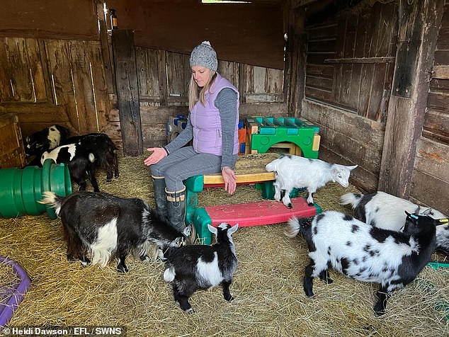 Gemma Cantillon, from Grantham, Lincolnshire, gave up her successful city career and six-figure salary to become a spiritual animal healer.