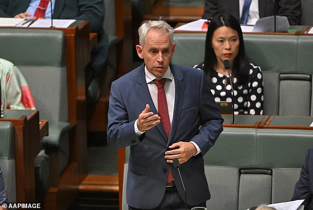 Calls for the dismissal of Immigration Minister Andrew Giles (pictured) have increased following Senate revelations about crimes committed by dangerous detainees published by a High Court ruling.