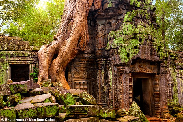 Impressive: The temple called 'Tomb Raider', Tạ Prohm, is one of the region's must-sees