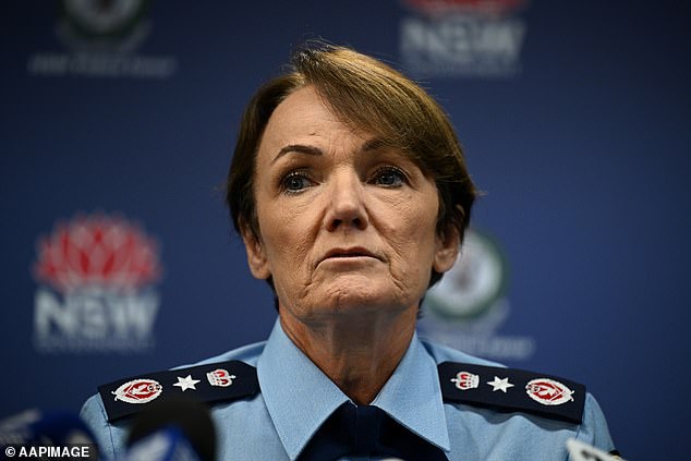 Jesse Baird Luke Davies deaths NSW Police chief Karen Webb