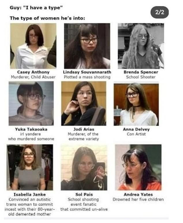 Blake downloaded this collage of nine female murderers, including Casey Anthony, accused of murdering her three-year-old daughter in Florida, and Andrea Yates, who drowned her five children.
