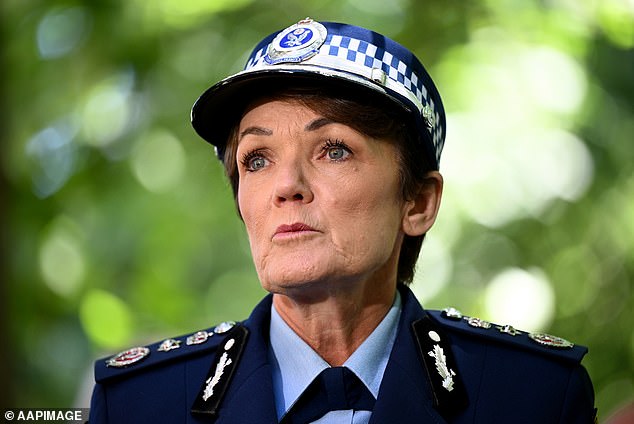 New South Wales Police Commissioner Karen Webb has been criticized for only speaking publicly about the Baird and Davies murders three days after the fact.