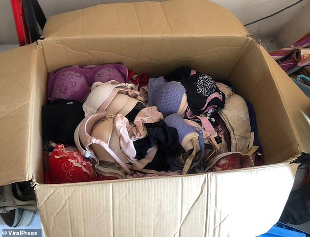 Officers found 516 bras, 72 pairs of pants and three sets of women's pajamas in the apartment.