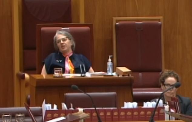 Lidia Thorpe blows up in the Senate as President takes