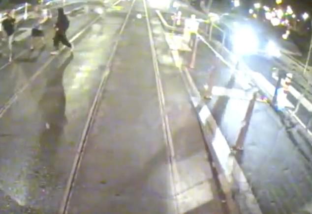 A member of the public reported seeing three men allegedly kicking a little penguin at the number 136 tram stop in St Kilda, Melbourne, on December 8 last year.