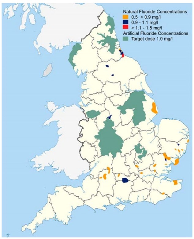 According to the British Fluoridation Society, only 6.1 million Britons (around 10 per cent of the population) currently receive water with sufficient fluoride levels to benefit oral health. These areas include Hartlepool, Easington, parts of North Hampshire and South Berkshire.