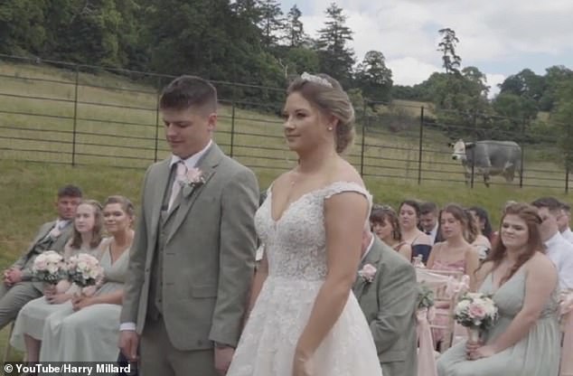 Despite the rude bovine guest, the guests, both bride and groom, saw the funny side of the cheeky wedding crasher's objections.