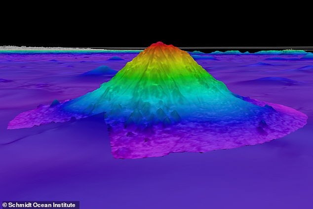 It covers almost 70 percent of the Earth's surface, but only five percent of our world's oceans have been explored.  Now, scientists exploring the waters off the coast of Chile have discovered a massive underwater mountain that is home to a variety of strange and wonderful creatures.