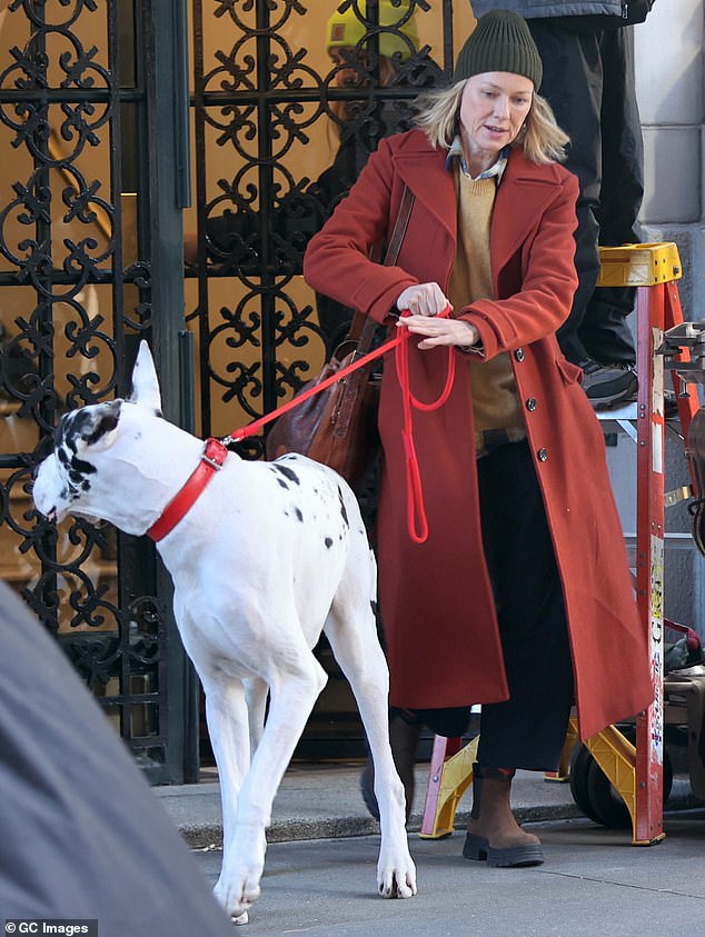 Naomi Watts, 55, enjoyed a walk with her co-star Bing, a Great Dane, on the set of her new movie The Friend on Friday.