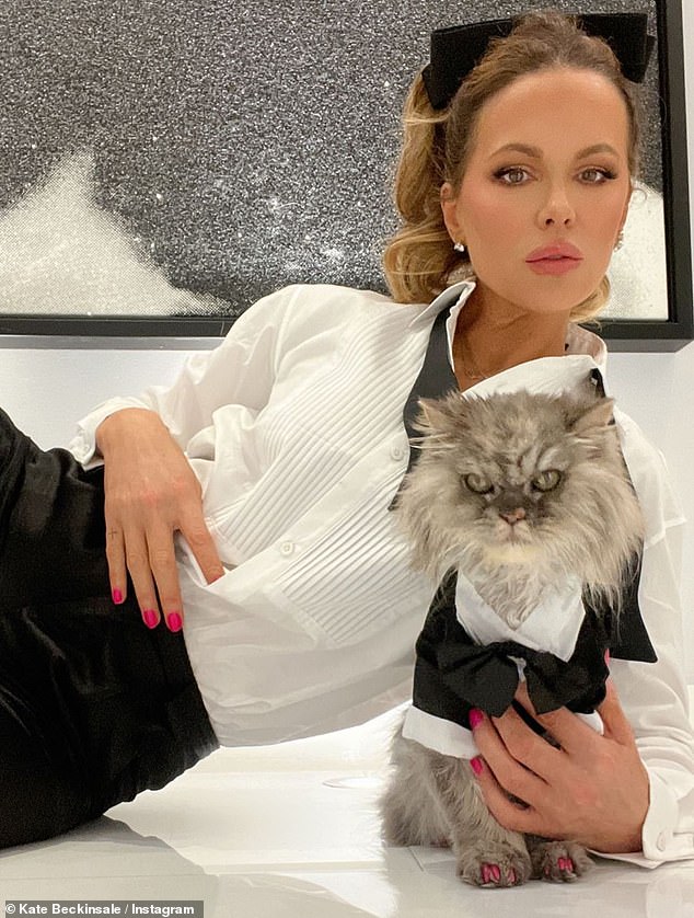 Popular flat-faced cat breeds include Persians, British Shorthairs, Himalayan Cats, Exotic Shorthairs, and Burmese.  Kate Beckinsale is pictured with her Persian cat, Clive, who sadly died earlier this year.