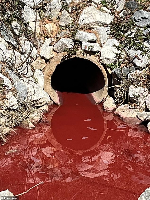 Authorities recently opened an investigation into a mysterious blood-like ooze that spilled from a water drainage pipe in a South Carolina city.