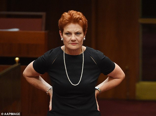 One Nation leader Pauline Hanson has called for the 2032 Brisbane Olympics to be canceled after redevelopment of its main stadium appears increasingly unviable.