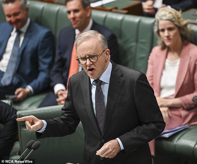 Anthony Albanese won the 2022 election by promising to more than double green electricity flowing into the grid to 82 percent by 2030.