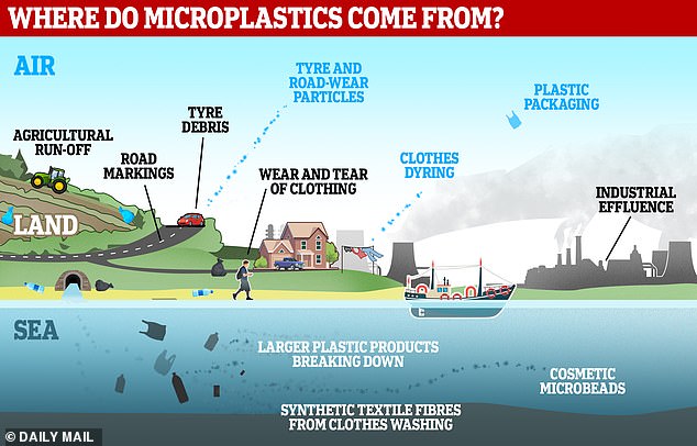 Microplastics are seemingly everywhere. But where do they come from? This graphic shows some of its many sources: industrial pollution, agricultural runoff, clothing, single-use plastics and more.