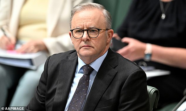 Premier Anthony Albanese has raised eyebrows after calling for the North Sydney Bears, and Newtown Jets, to be part of a 20-team NRL competition in the next decade.