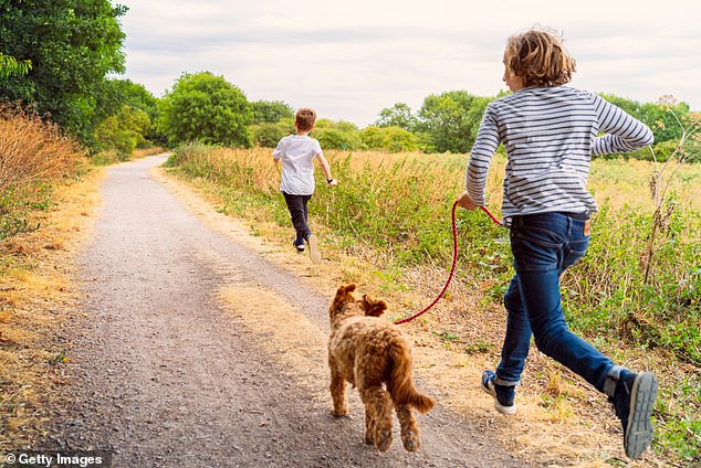 The study, from the University of Western Australia and the Telethon Kids Institute in Perth, found that girls who got a dog increased their light-intensity activities and play by 52 minutes a day (file image)